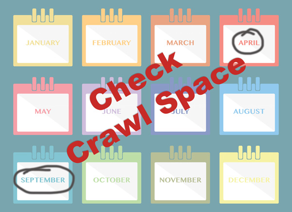 Check Moisture in Crawl Space