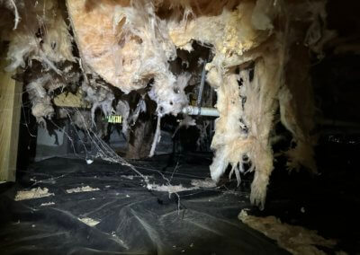 Enhancing Home Safety and Comfort through Strategic Crawl Space Restoration in Franklin, TN