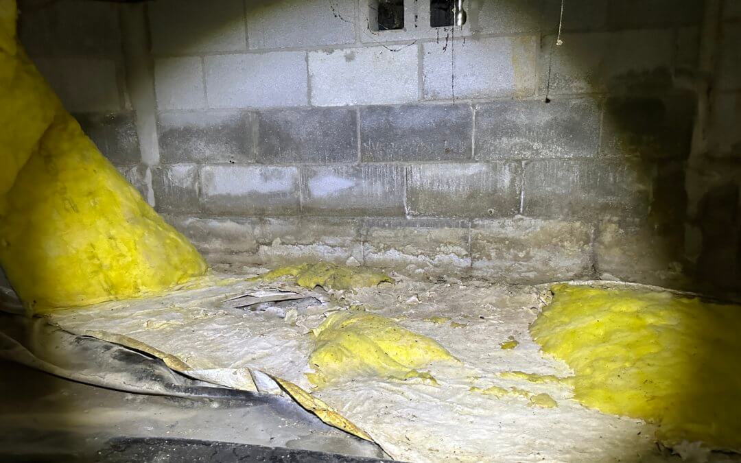 MUSTY, MOISTURE DAMAGED WALL INSULATION REMEDIATED IN LEBANON, TN