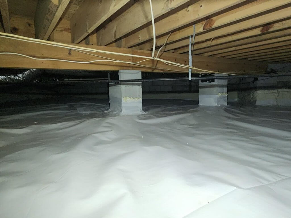Crawl Space Cleanup