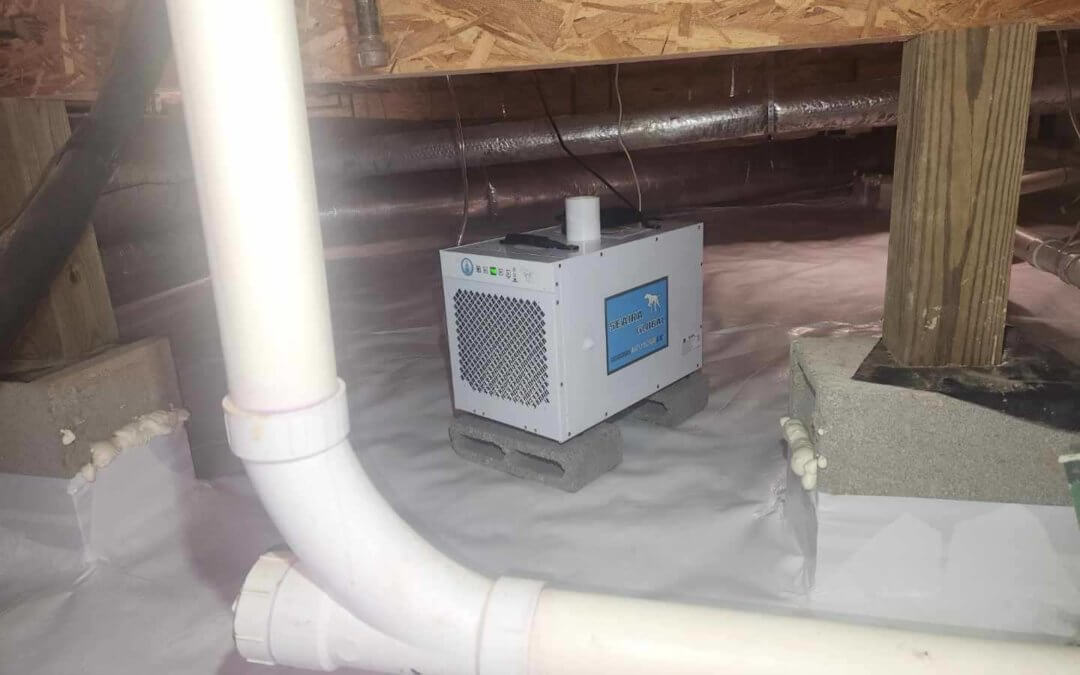 MOLD REMOVED AND VALUE RESTORED IN SPRING HILL, TN