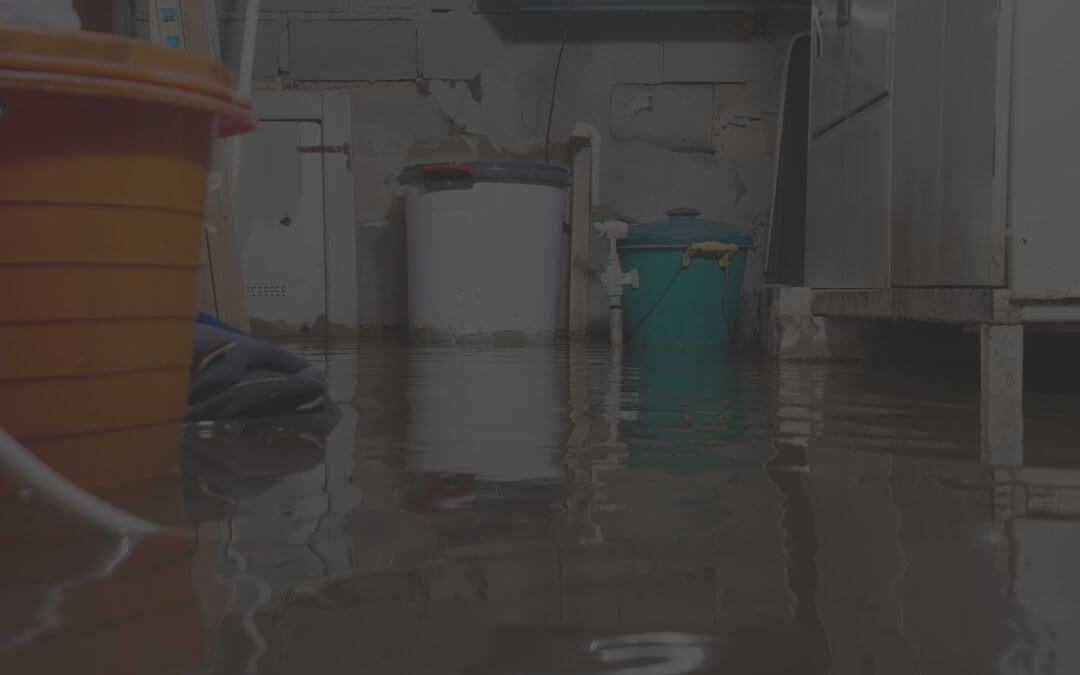 DIY vs. Professional Crawl Space Encapsulation: Which Is Right for Your Nashville, TN Home?