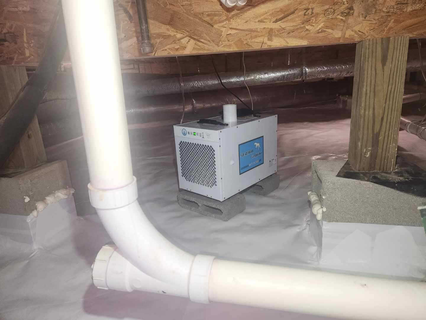Spring Hill crawl space case study